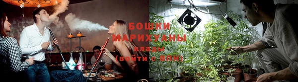 ПСИЛОЦИБИНОВЫЕ ГРИБЫ Абинск